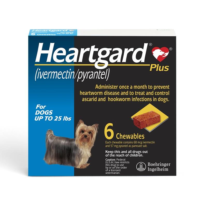 Heartworm medication for 2025 dogs over the counter