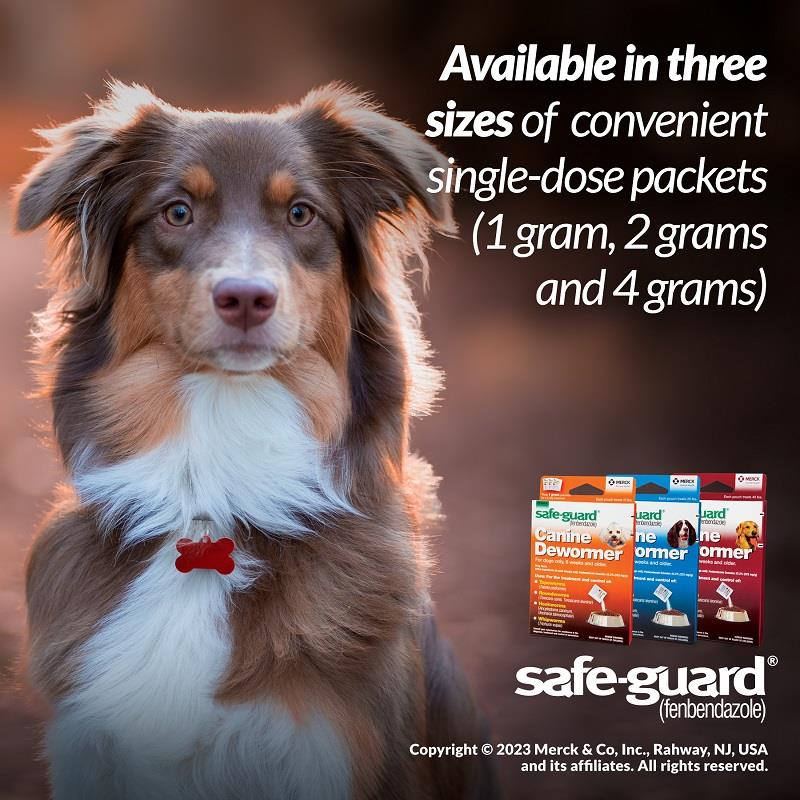 Safeguard wormer for outlet dogs