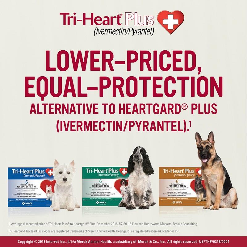 Tri heart for clearance dogs