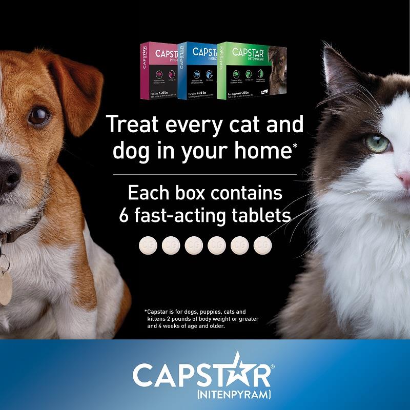 Capstar for cats outlet tractor supply