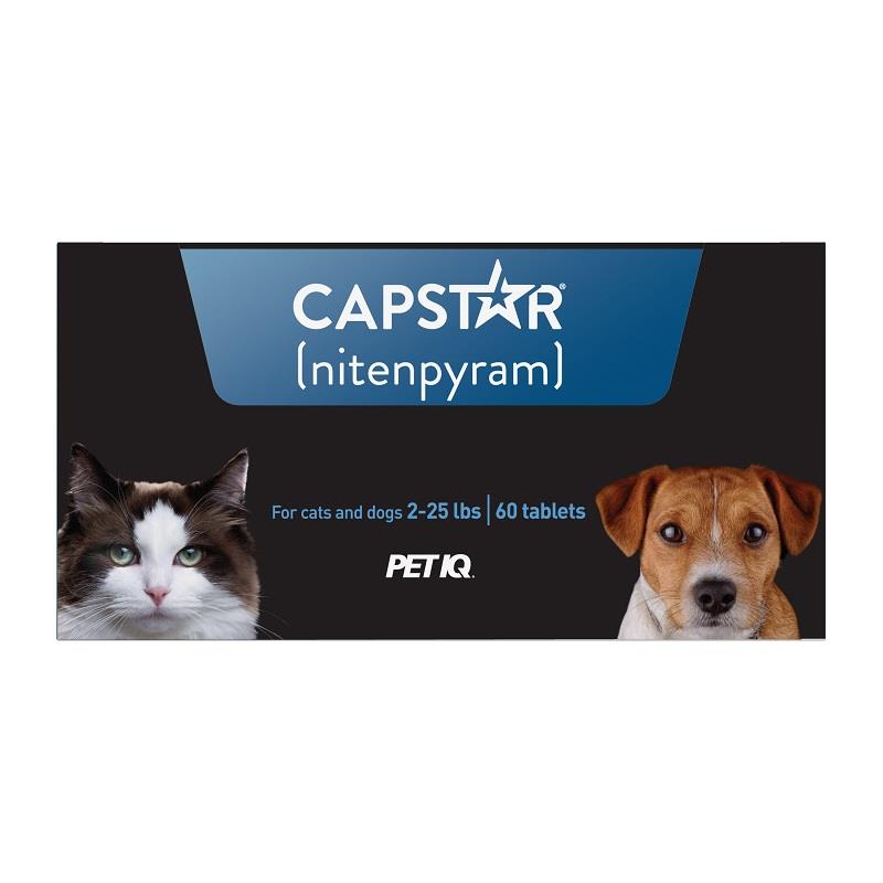 Capstar for dogs and best sale cats 2 to 25 lbs