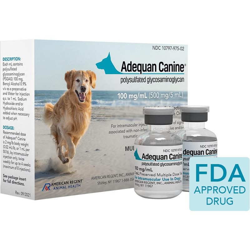 Antifungal injection 2025 for dogs