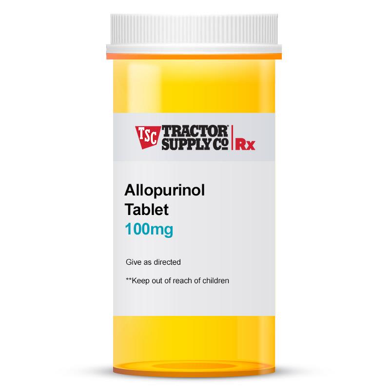 can dogs take allopurinol