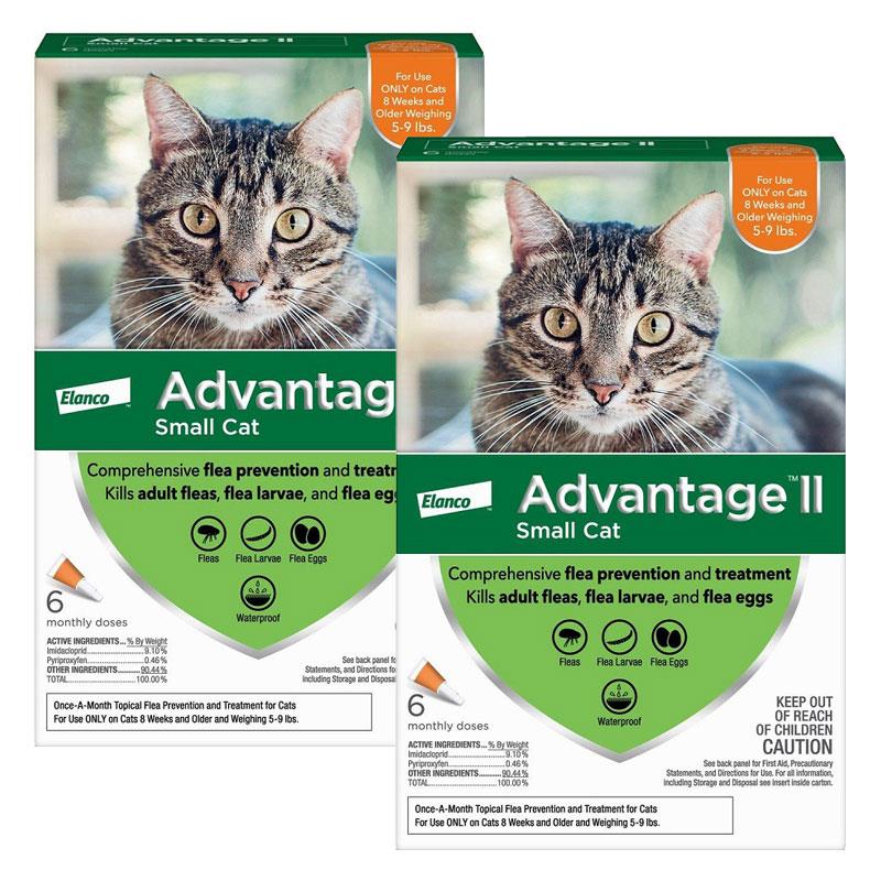 Advance flea treatment outlet for cats