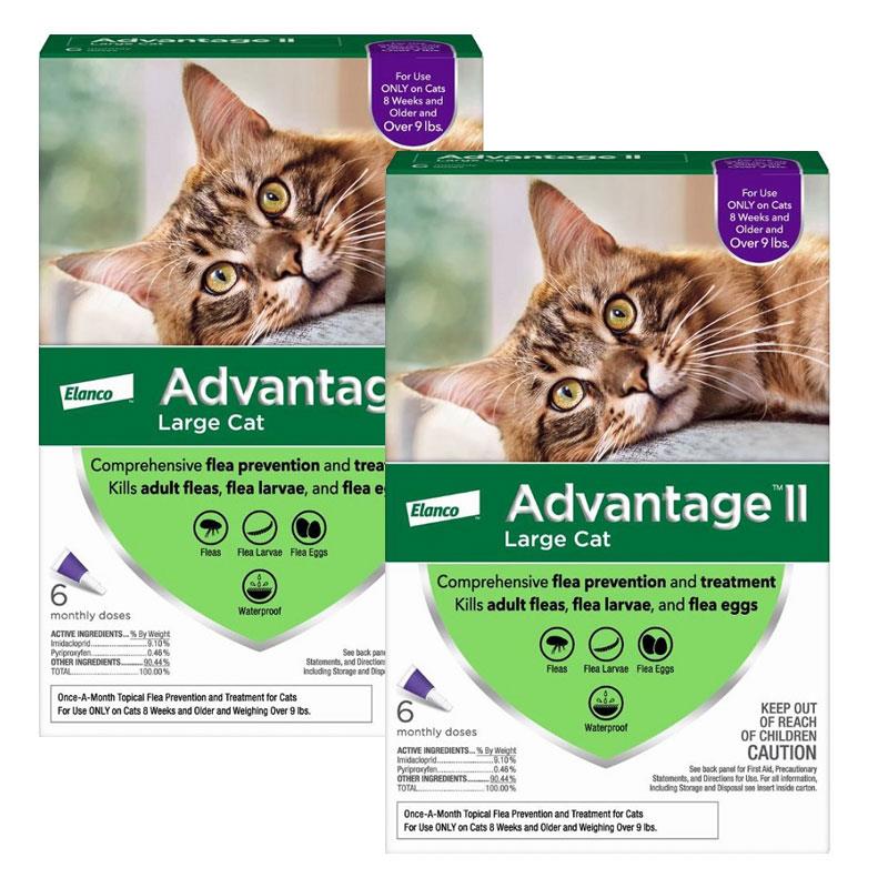 Cat flea 2025 treatment advantage 2