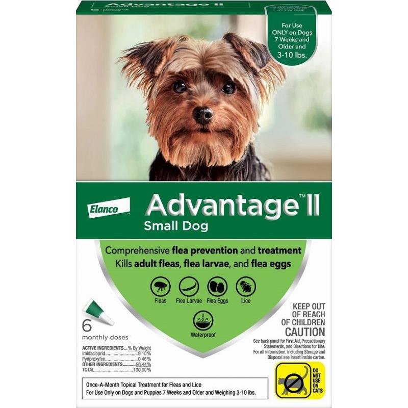 Canine 2025 advantage ii