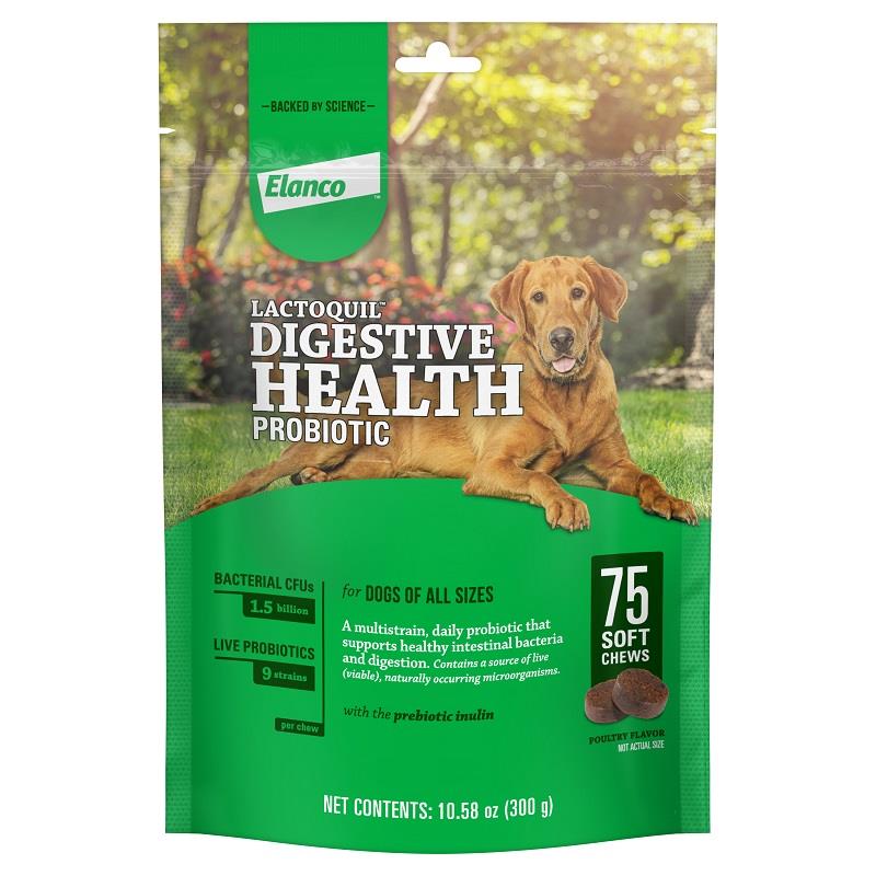 Zesty Paws Vet Strength Pre, Pro & Postbiotic Bites Gut Health Supplement,  90 Soft Chews