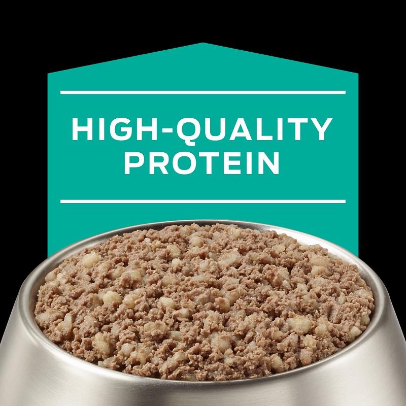 purina pro plan gastroenteric dog food