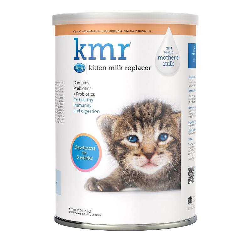 When can you on sale give kittens milk