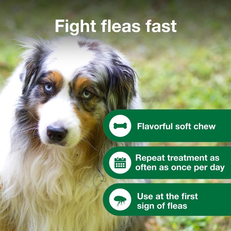 Advantus clearance flea chews