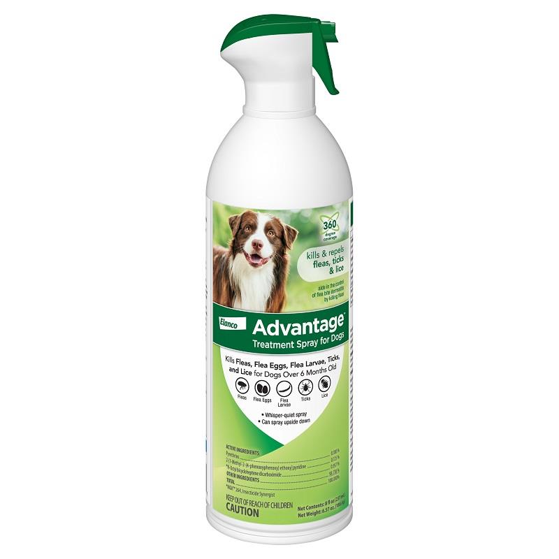 Advantage flea shop pills for dogs