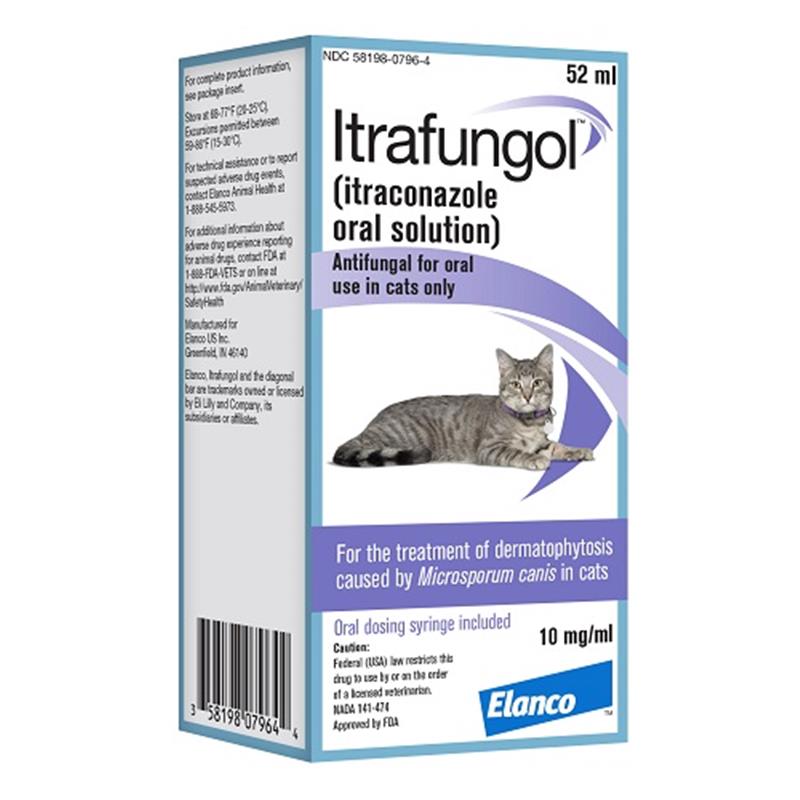 Oral antifungal shop medication for dogs