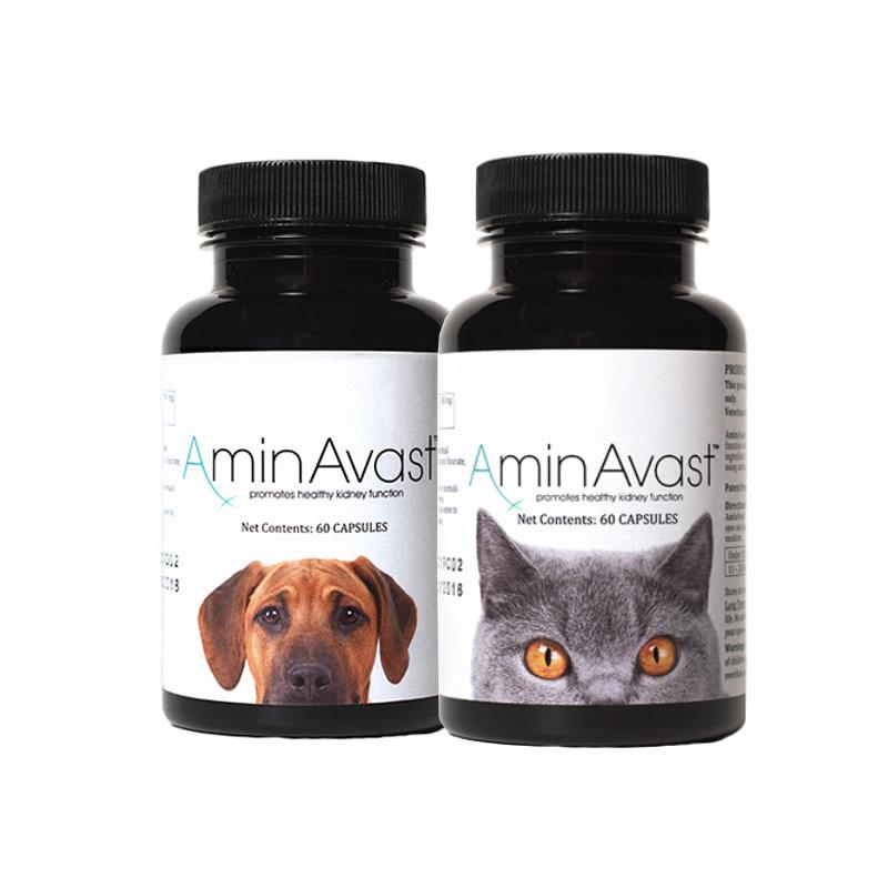 ProMotion for Small Dogs/Cats (60 tablets), On Sale