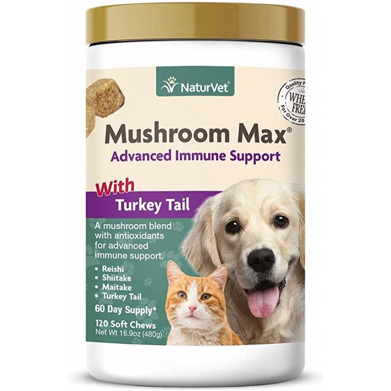 Turkey tail mushroom clearance supplement for dogs