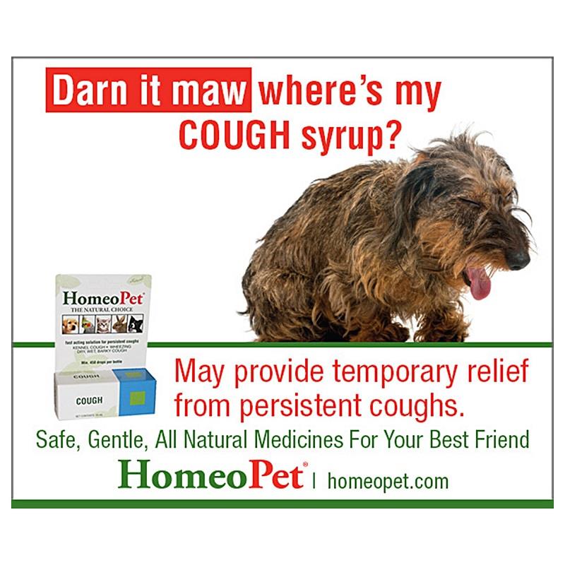 Kennel cough treatment discount over the counter