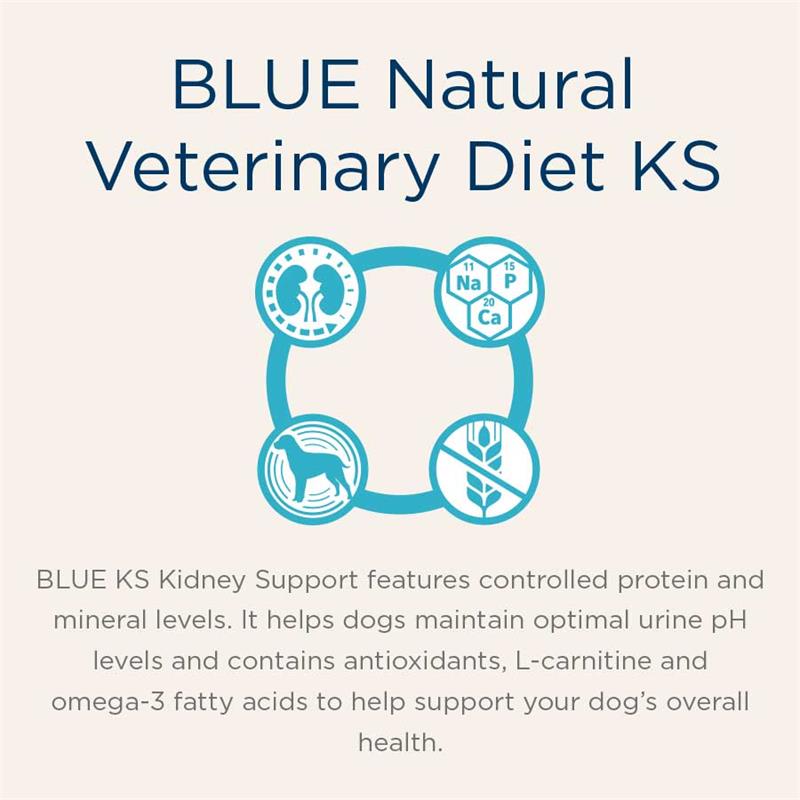 Blue kidney support outlet dog food