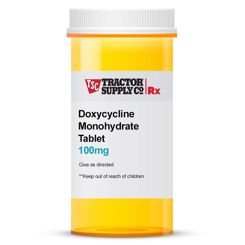 Doxycycline Monohydrate 100 Mg Capsules For Cats Dogs And Horses